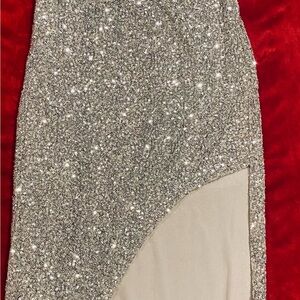 Elegant Silver Sequin Gown